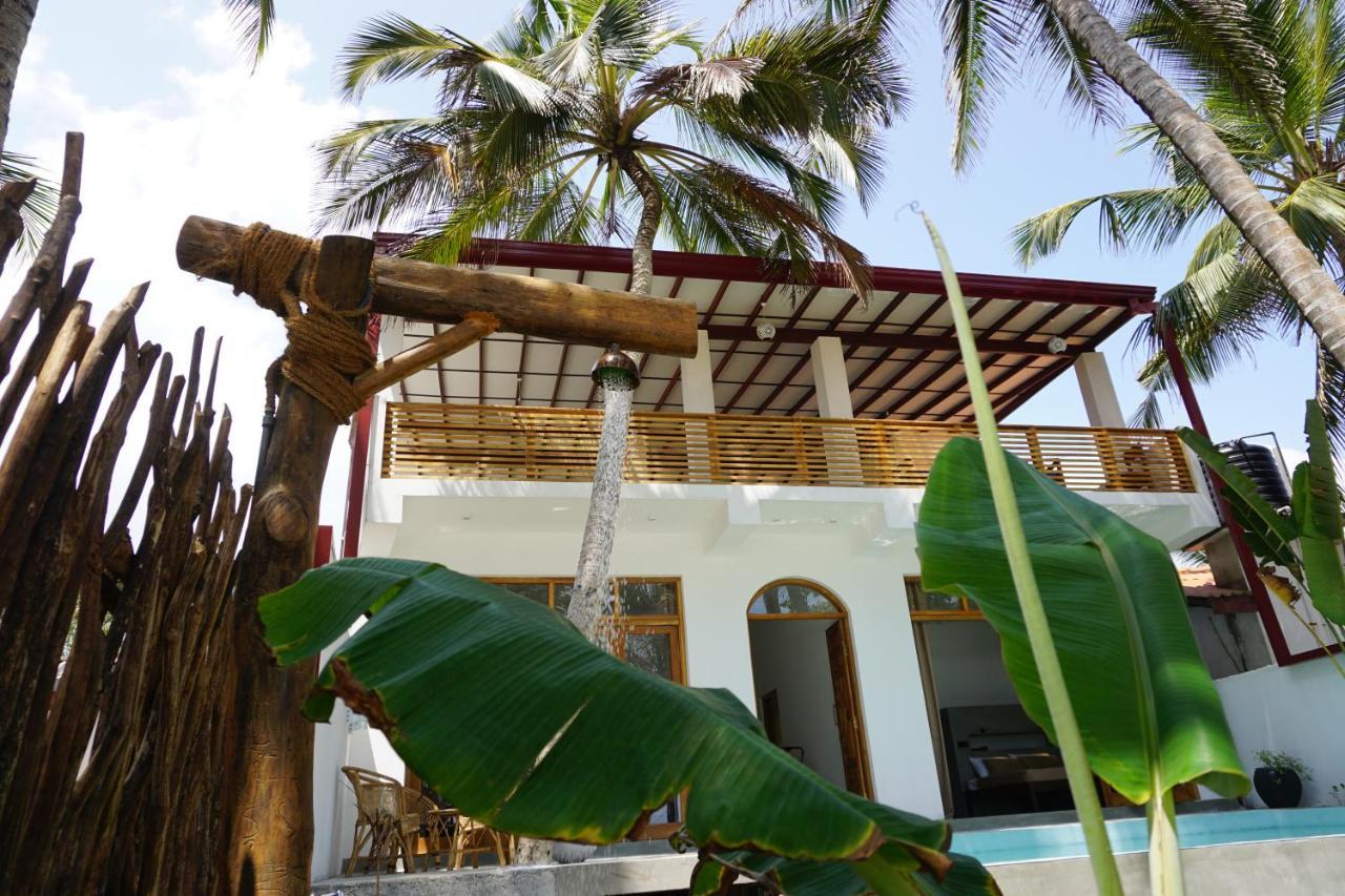 Parasol Dore ديكويلاّ تين المظهر الخارجي الصورة
